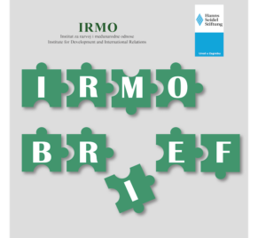 IRMO-brief