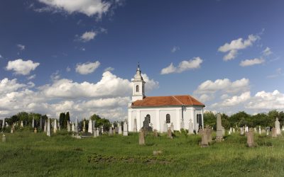 Potpisanom Sporazumu o suradnji sa Univerzitetom u Novom Sadu